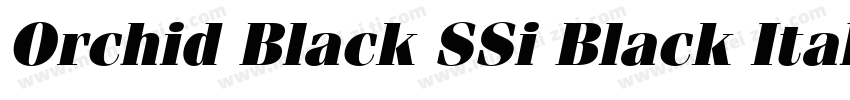Orchid Black SSi Black Italic字体转换